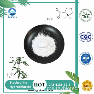MotherWort Herb Extract Powder 98% Stachydrine Hydrochloride